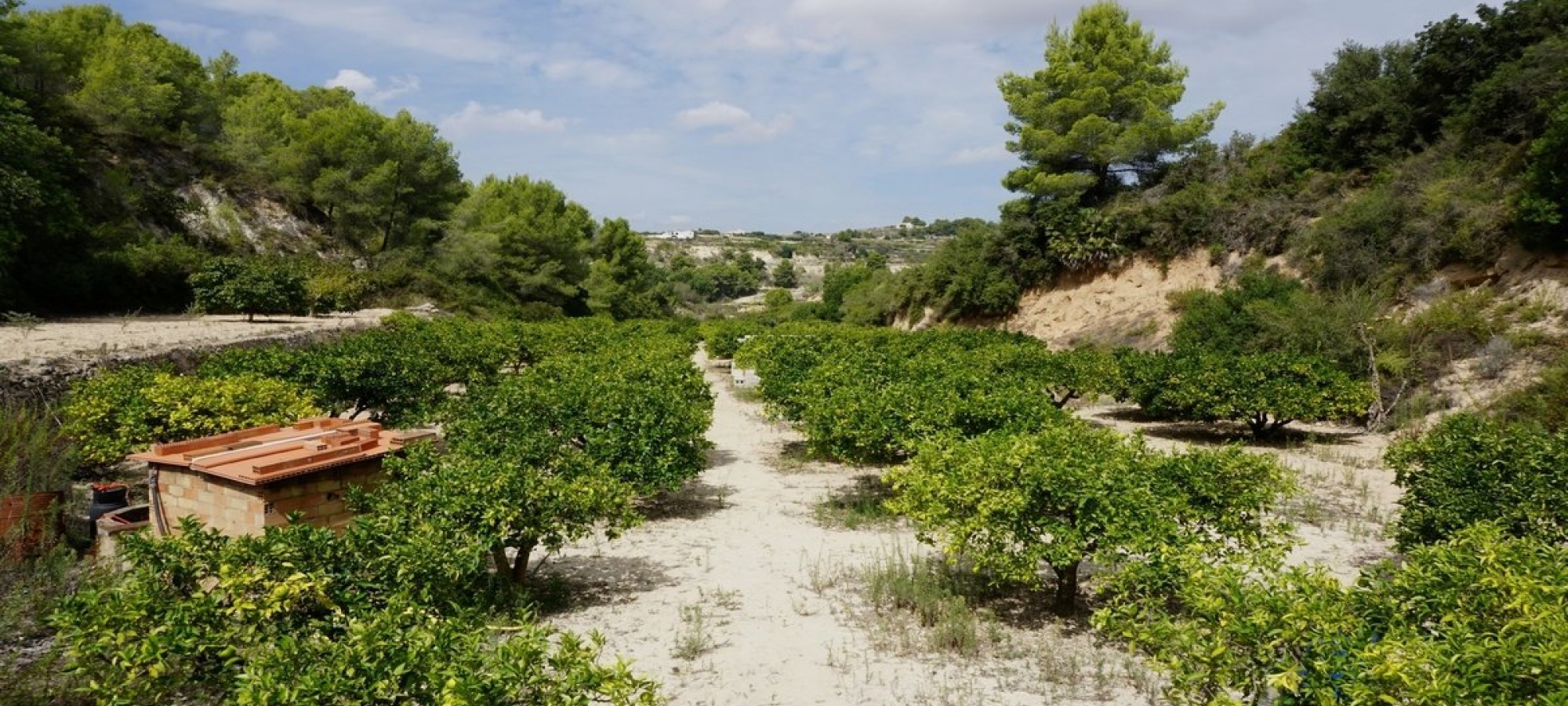 Benissa Alicante Fincas