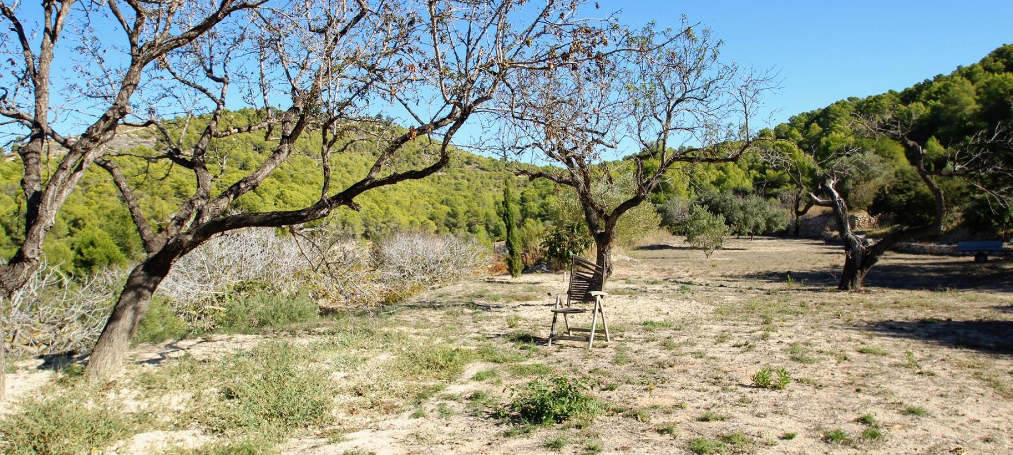 Calpe Alicante Fincas