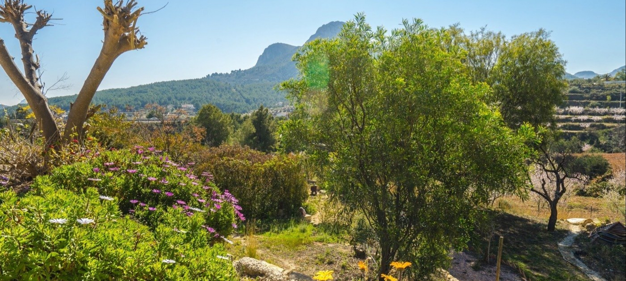 FINCA i et roligt område med panoramaudsigt.