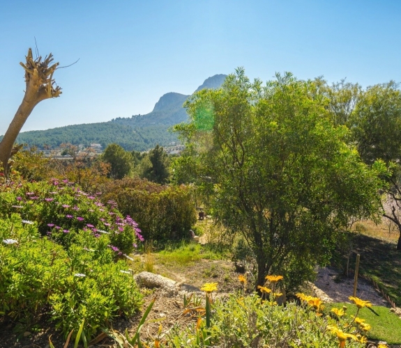 FINCA on a quiet area with panoramic views