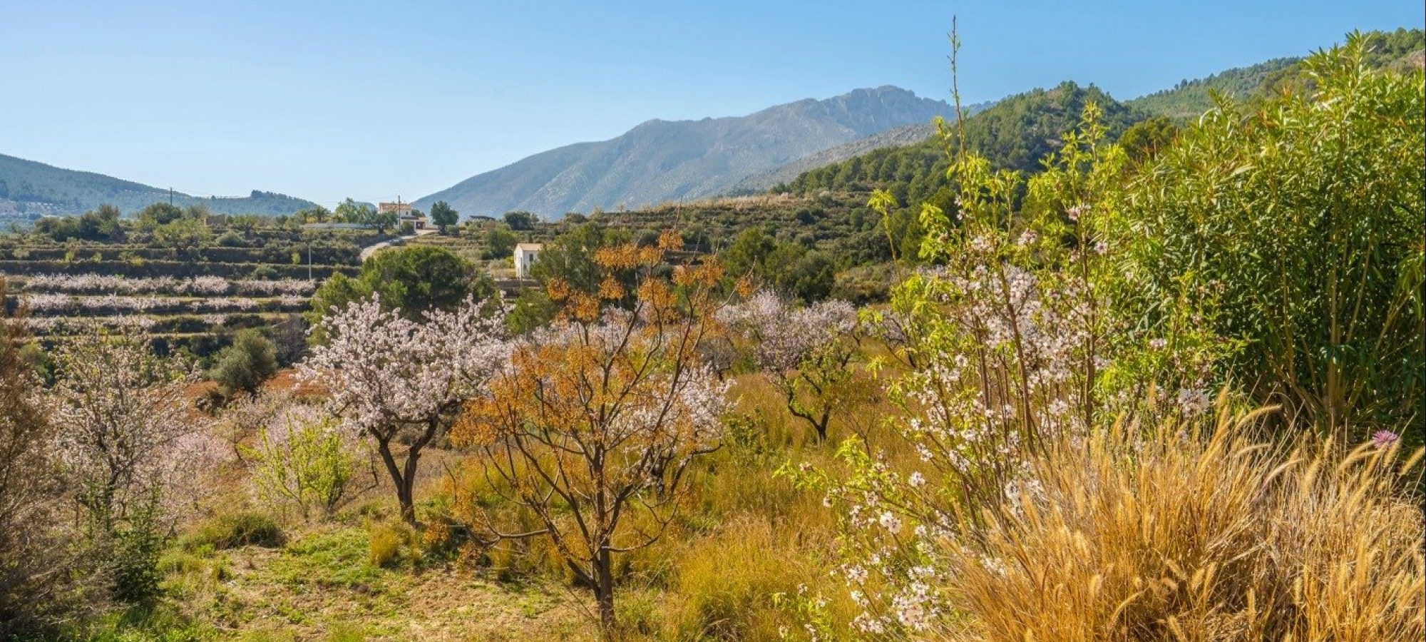 FINCA on a quiet area with panoramic views