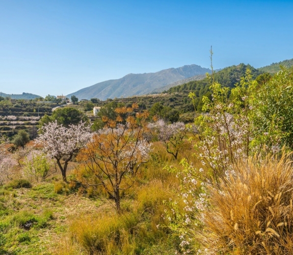 FINCA on a quiet area with panoramic views