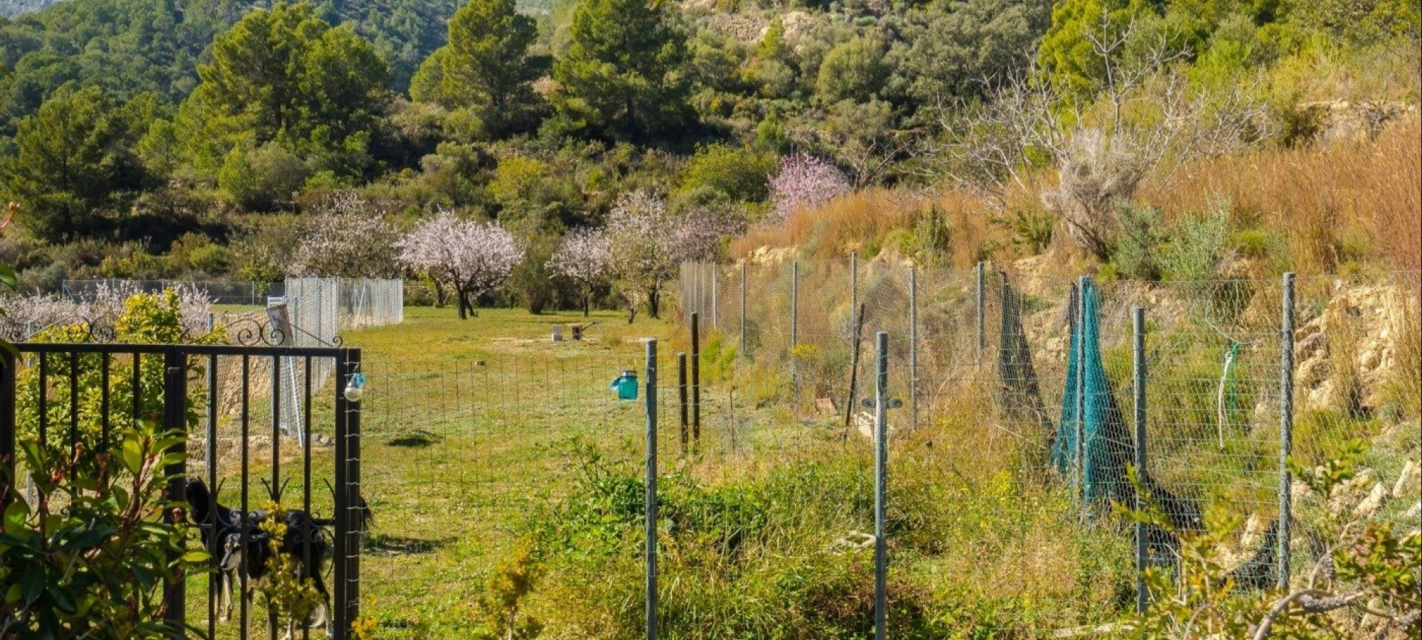 FINCA on a quiet area with panoramic views