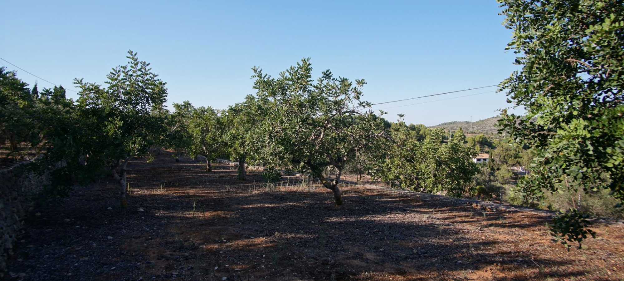 BENISSA> COLLADO  Country house med en fantastisk panoramaudsigt