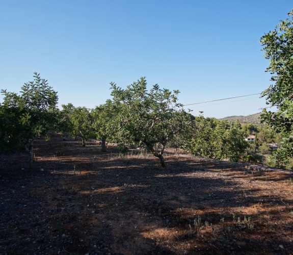 BENISSA> COLLADO  Country house med en fantastisk panoramaudsigt