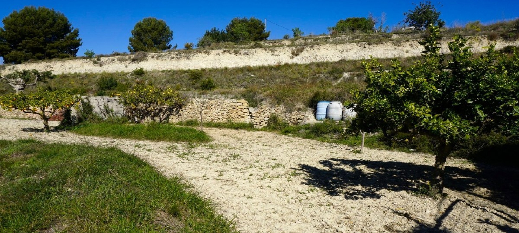 Benissa Alicante Fincas