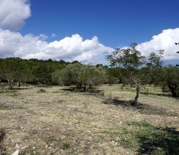 BENISSA >> BENIMALLUNT > FINCA to refurbish with panoramic views