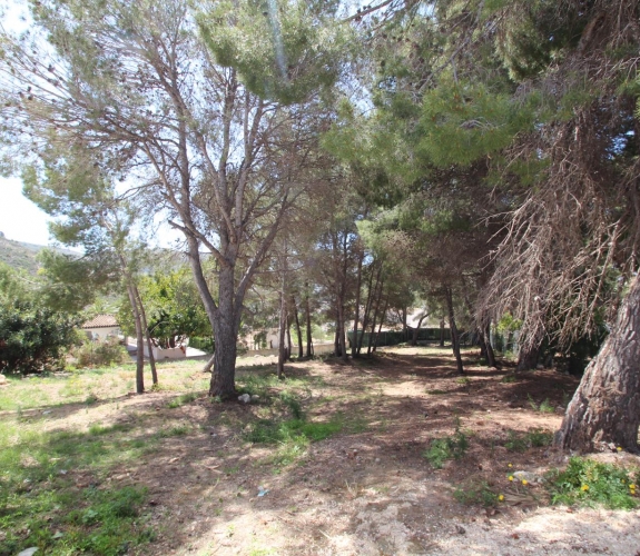 MORAIRA> EL PORTET - Sydvendt byggegrund med panoramaudsigt over havet