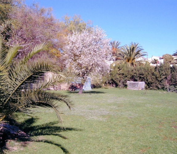 MORAIRA > LA SABATERA - Spacious villa on a large plot