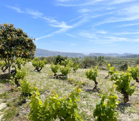 COSTA BLANCA >> MORAIRA - Traditionel og 100-årig finca med 3 soveværelser og panoramaudsigt....