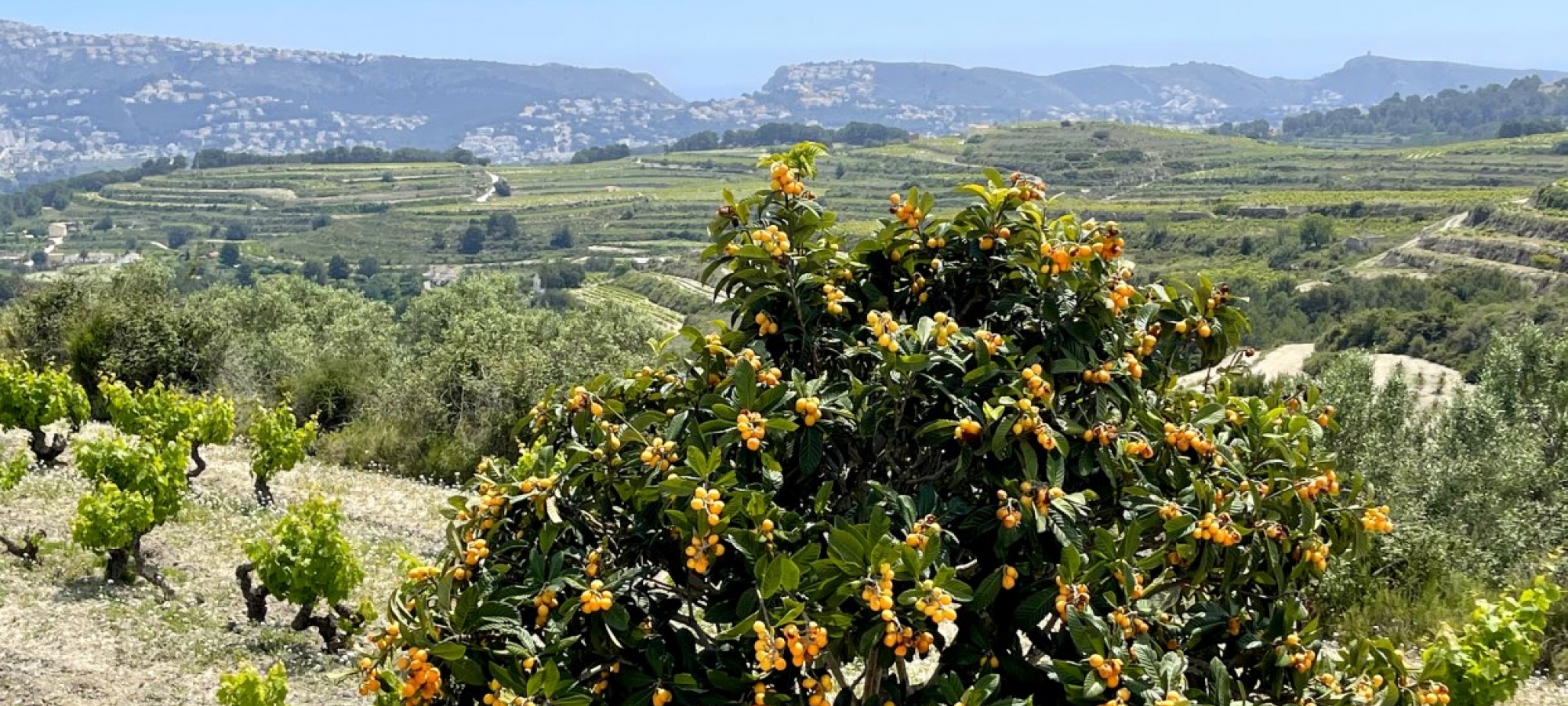 COSTA BLANCA >> MORAIRA - Traditionel og 100-årig finca med 3 soveværelser og panoramaudsigt.