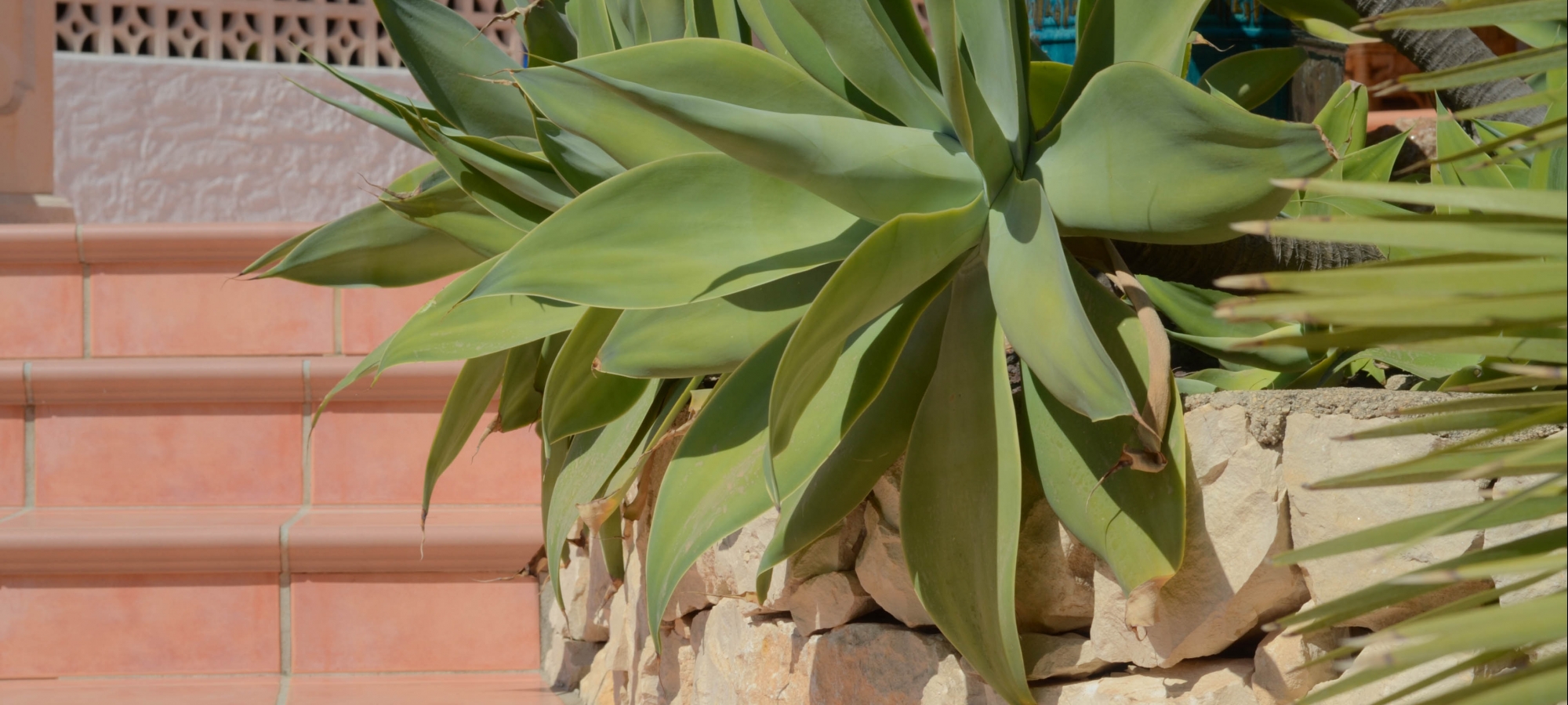 MORAIRA >> BENIMEIT  4 værelse villa med havudsigt.